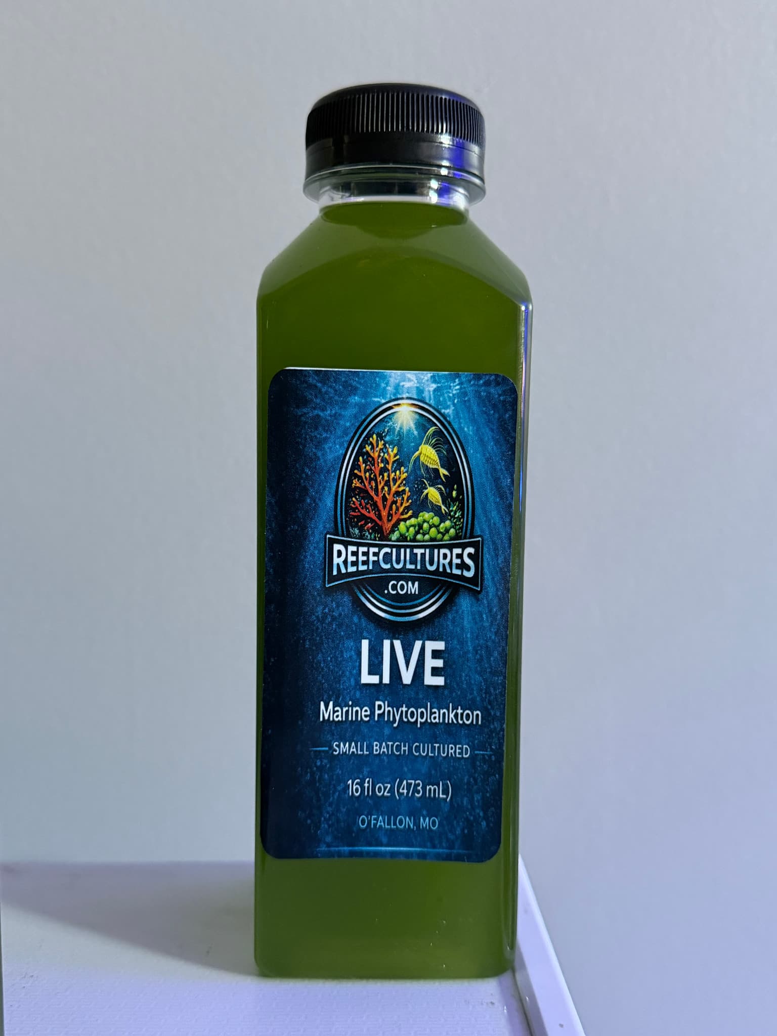 Live Phytoplankton 16oz